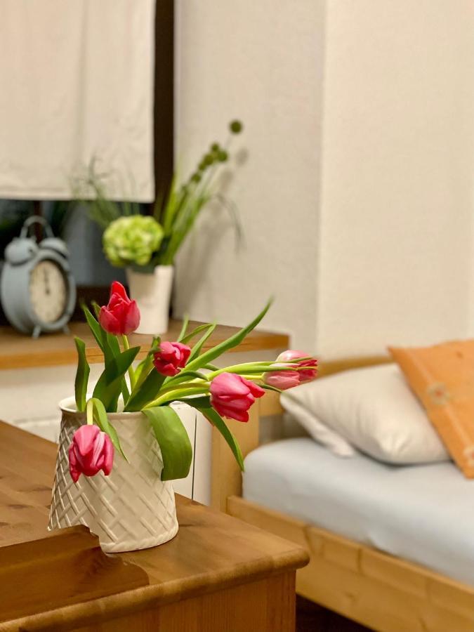 Ferienwohnung Am Weinberg Майсен Екстериор снимка